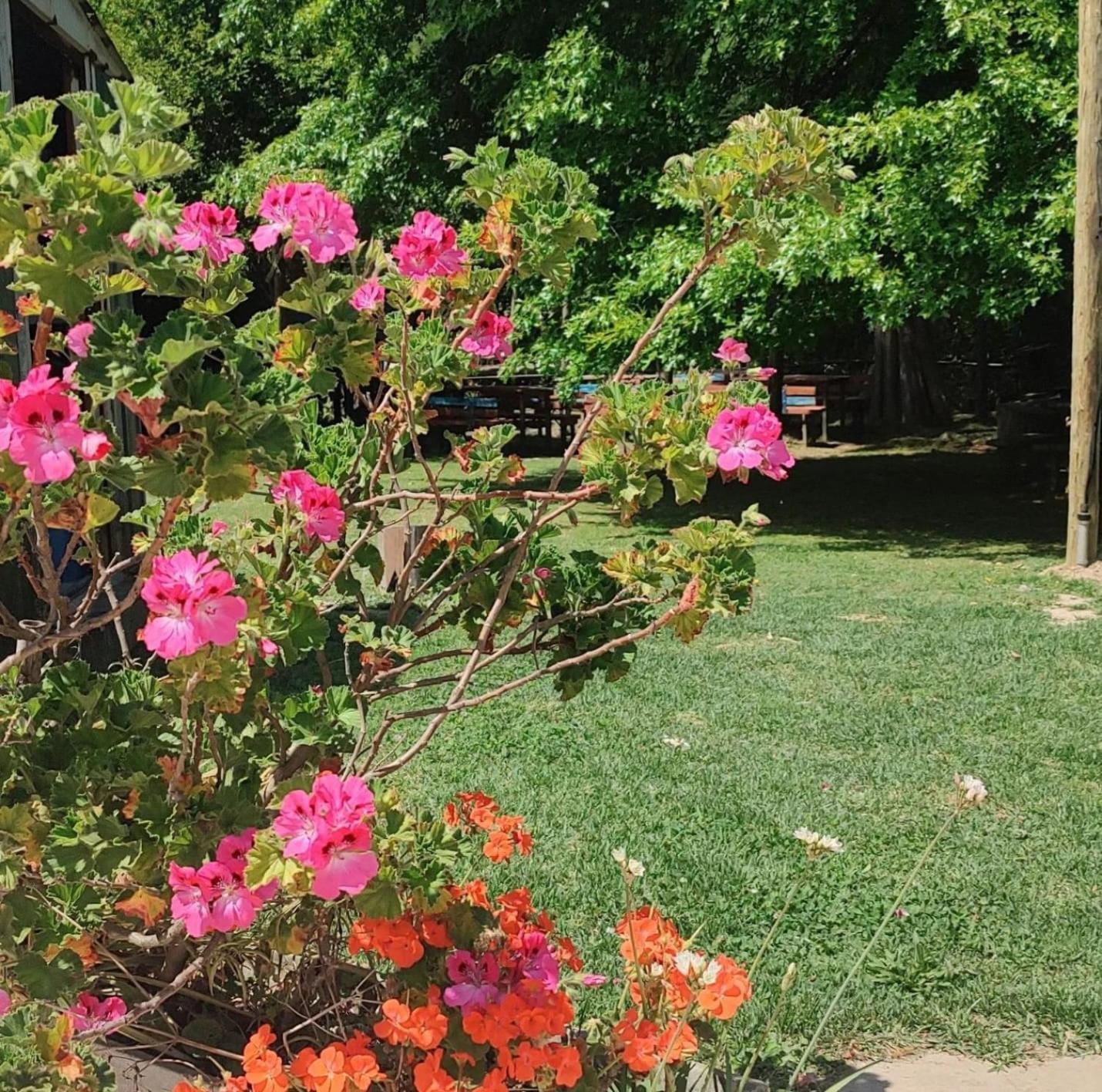 Cabanas Faro Delta Tigre Ngoại thất bức ảnh